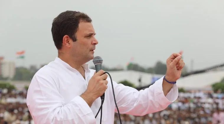 आरएसएस और भाजपा की ‘नफरत की राजनीति’ के खिलाफ एकजुट है विपक्ष: राहुल