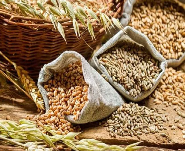 मोटे अनाज के लाभ बता किसानों को रिझाएगी योगी सरकार, होटल और रेस्तरां में जल्द मिलेंगे इनसे बने पकवान