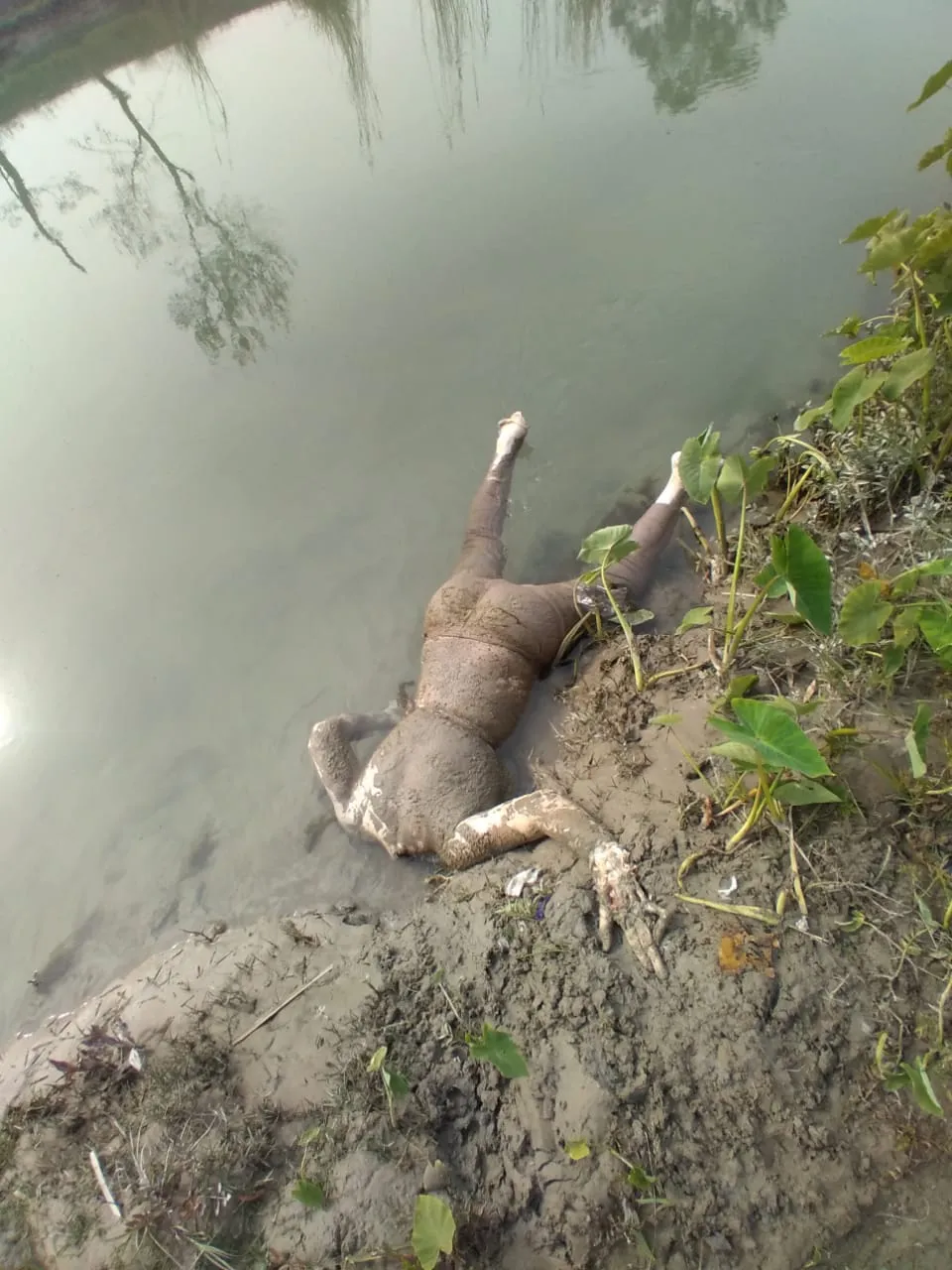 सहारनपुर में  सिर कटी लाश की नहीं हो पाई पहचान, एसएसपी ने स्थलीय निरीक्षण कर पुलिस को दिए निर्देश