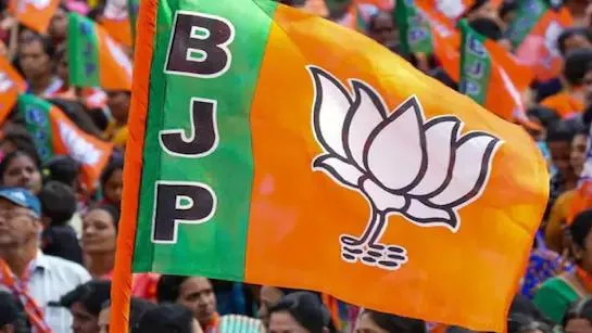 BMC Result 2026: मुंबई में भाजपा-शिंदे गठबंधन का परचम, रुझानों में बहुमत के पार - उद्धव गुट को झटका