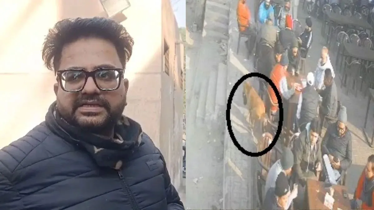 चाय पीते-पीते गिरा पर्स… और सड़क का शातिर कुत्ता उठा ले भागा: दो घंटे की खोज के बाद मिला बेशकीमती सामान