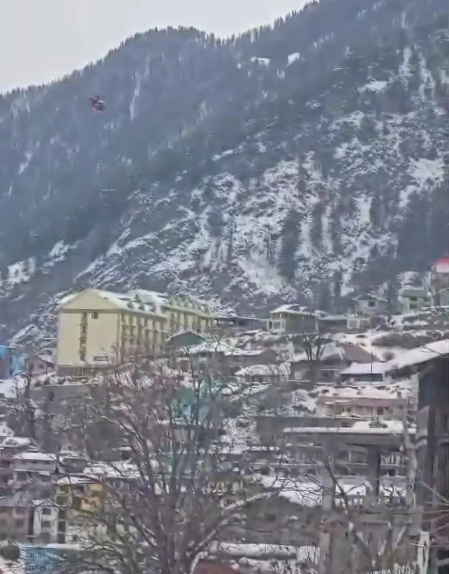 इंसान चला गया, पर वफादारी नहीं.!  शवों के पास 4 दिन तक भूखा-प्यासा पहरा देता रहा वफादार कुत्ता