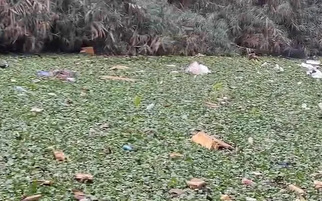 मुजफ्फरनगर में काली नदी में मृत गोवंश मिलने से हड़कंप, पुलिस जांच में जुटी