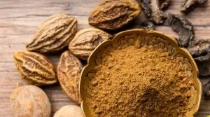 हरड़ को क्यों कहा जाता है अमृत? आयुर्वेद से जानिए चमत्कारी फायदे 