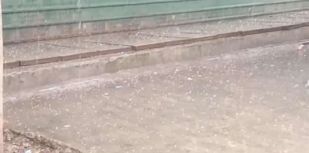 नोएडा-ग्रेटर नोएडा में भारी बारिश और ओलावृष्टि, किसानों में चिंता