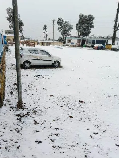 उत्तराखंड में बारिश और बर्फबारी का अलर्ट, देहरादून और अल्मोड़ा के स्कूलों में अवकाश