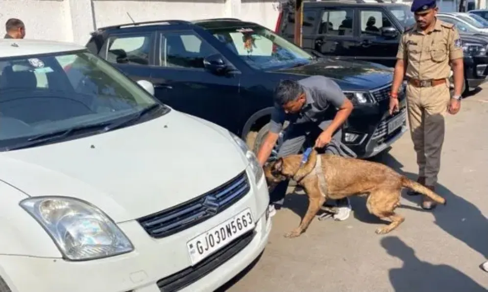 be4912e00afd681694d8b2982ebdc3fc_74516063