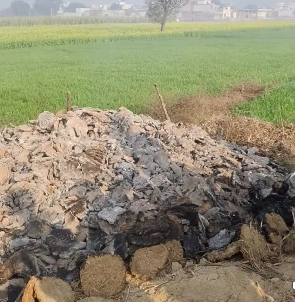 बागपत: बिटौड़े में मिला अज्ञात जला हुआ शव, इलाके में सनसनी, गायब महिला से संबंध की जांच जारी