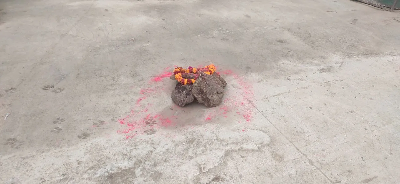 मेरठ में बसंत पंचमी पर होली का ढांडा बांधा, शुरू हुआ रंगों का पर्व