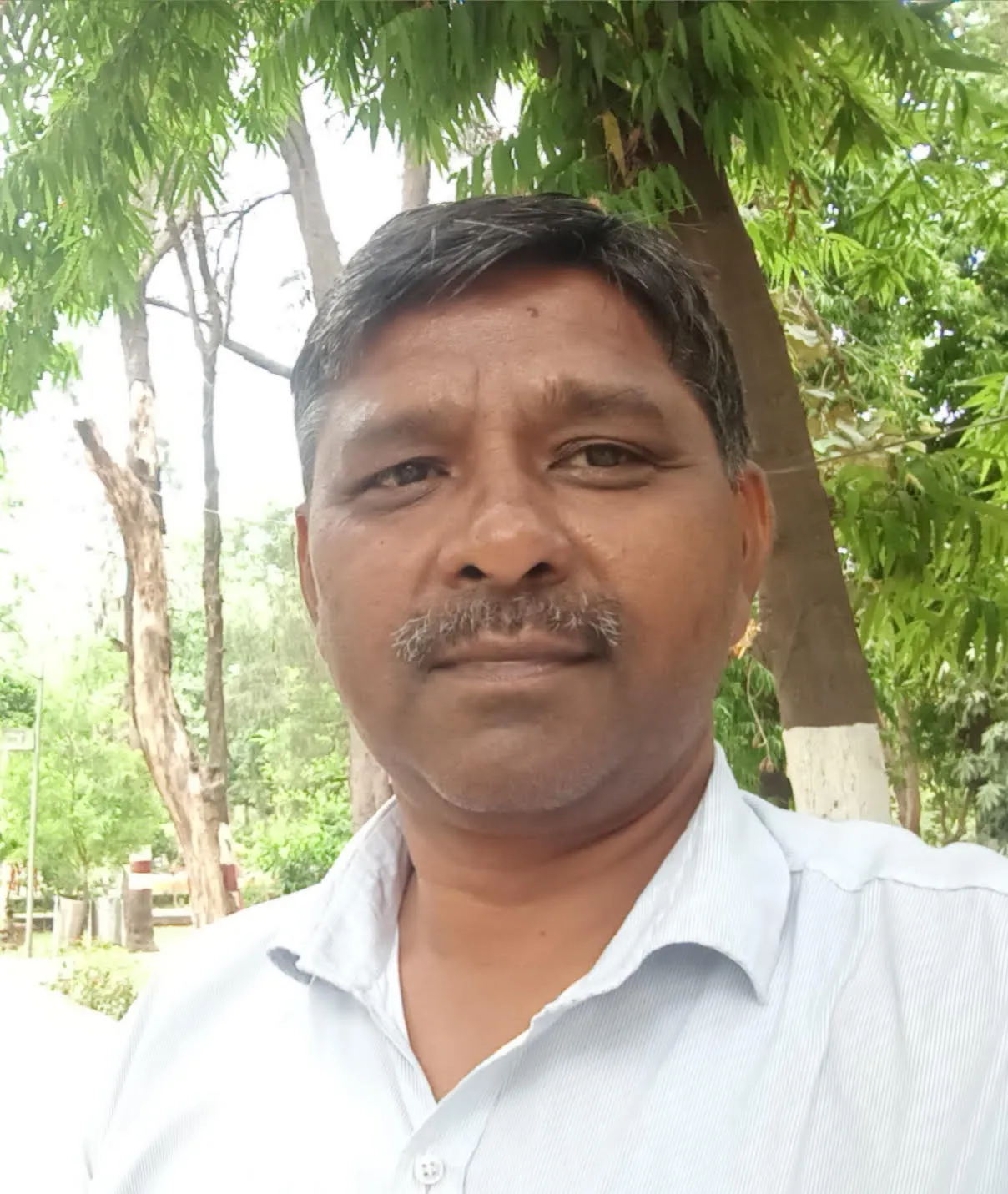 कुलदीप सिंह | रिपोर्टर