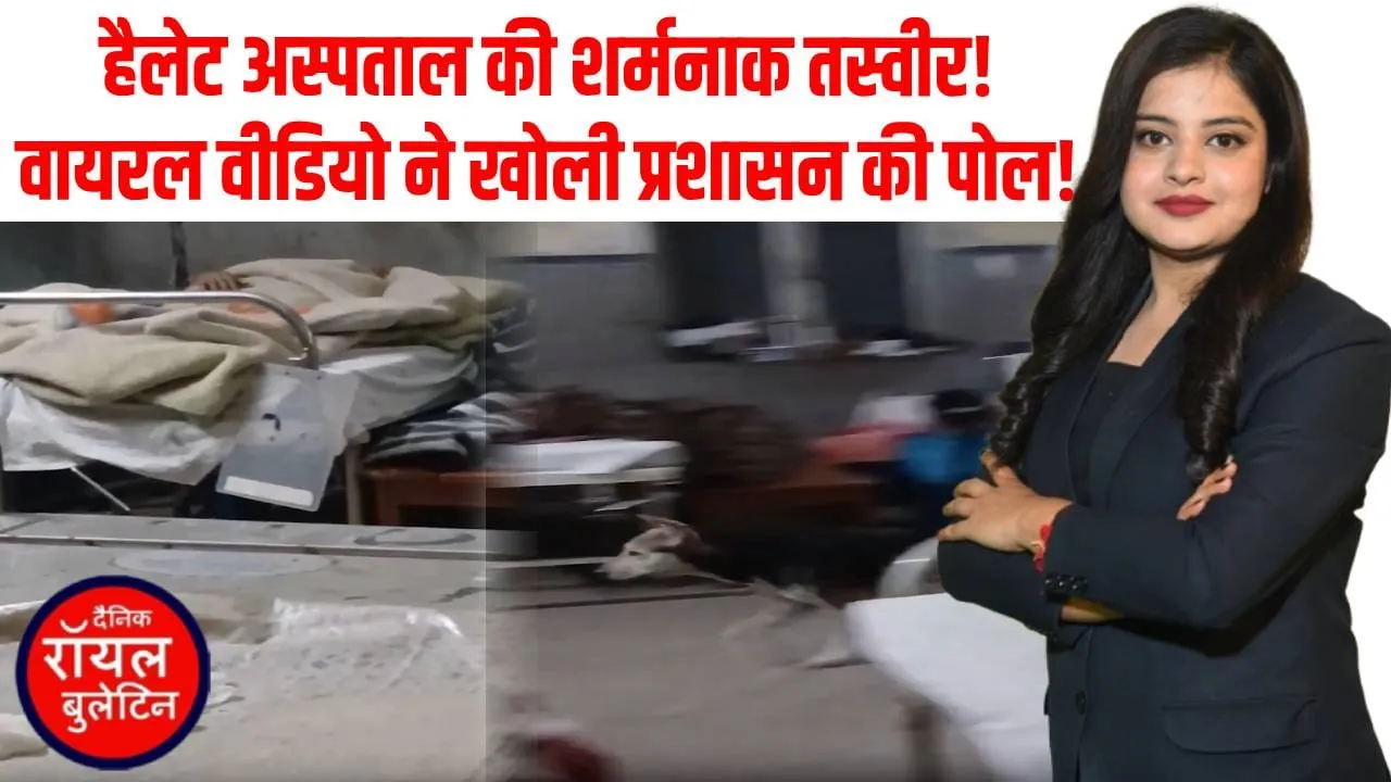 कानपुर का हैलेट अस्पताल बना डॉग हॉस्टल? जच्चा-बच्चा वार्ड में घूमते आवारा कुत्ते!