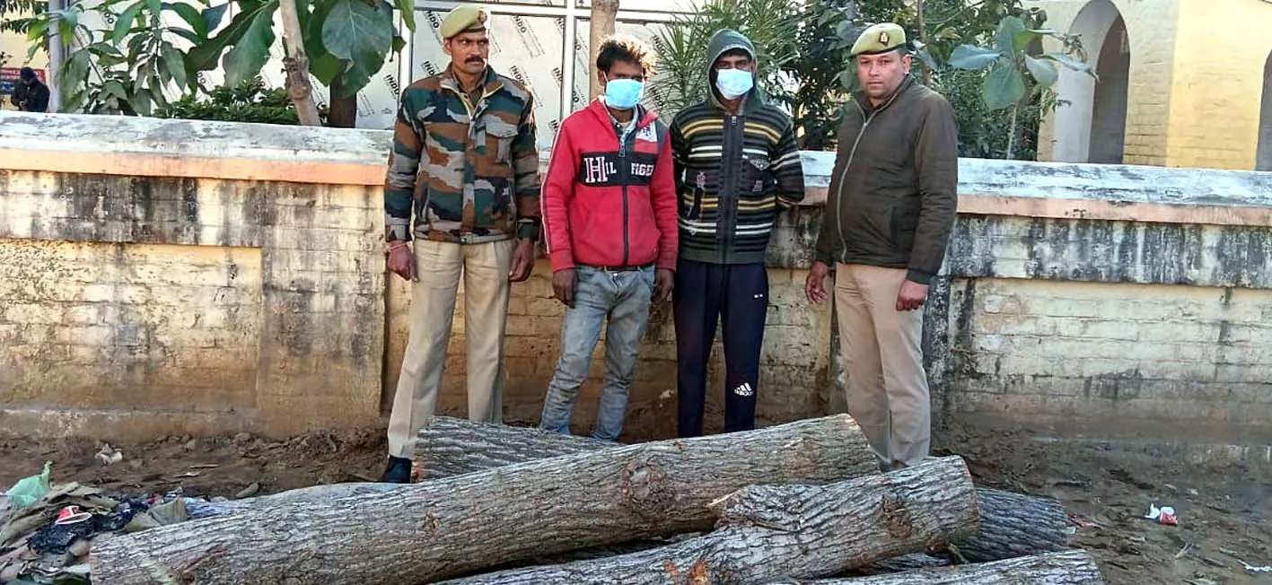 सहारनपुर: रामपुर मनिहारान पुलिस ने दो शातिर चोरों को पकड़ा, चोरी किए गए पोपलर के 06 लठ्ठे बरामद