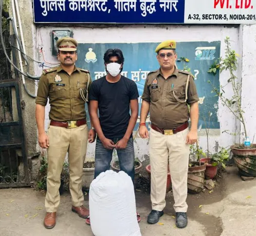 नोएडा पुलिस ने 47 किलो अवैध गांजा के साथ 5 तस्करों को गिरफ्तार किया
