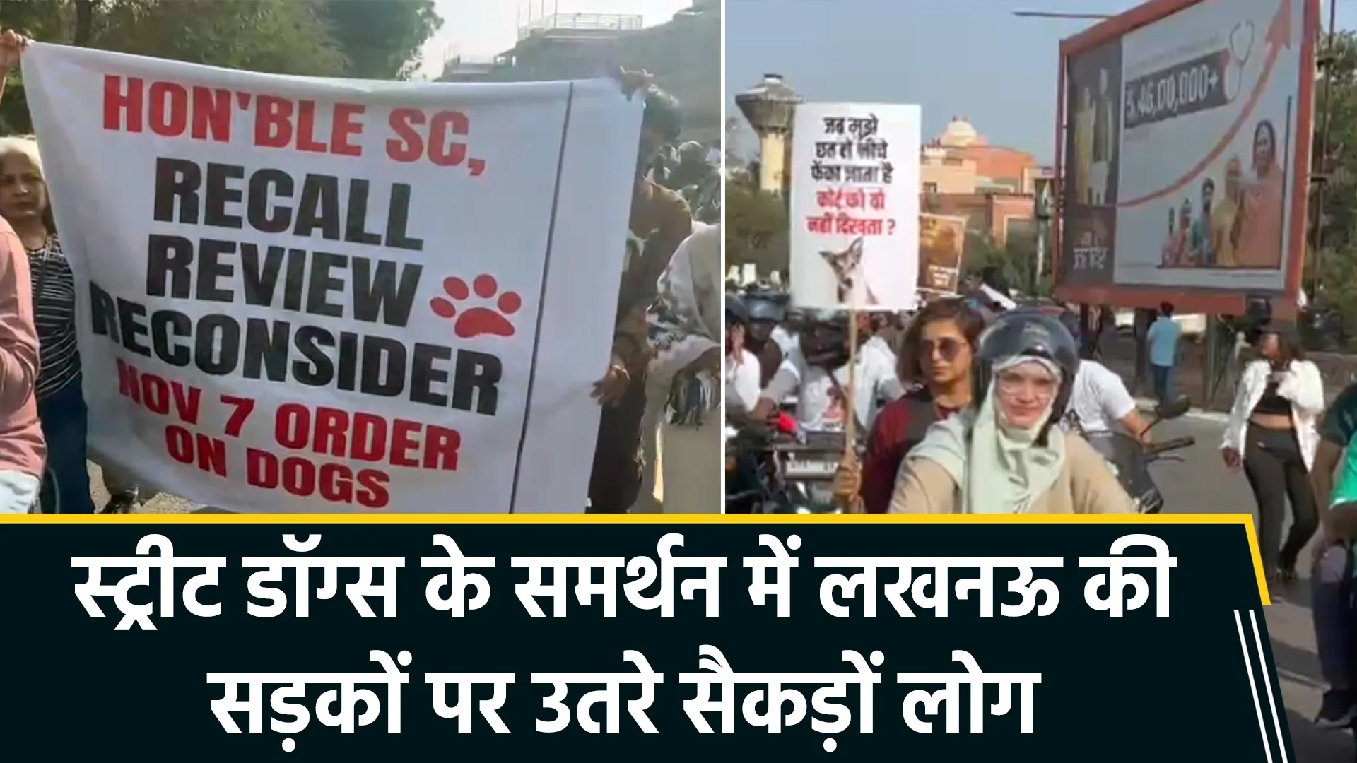 सुप्रीम कोर्ट के फैसले के विरोध में लखनऊ में प्रदर्शन, स्ट्रीट डॉग्स के संरक्षण और मानवीय व्यवहार की उठाई आवाज