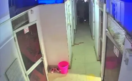 पटना नीट अभ्यर्थी मौत केस: सीसीटीवी फुटेज और पुलिस की टाइमलाइन में विरोधाभास