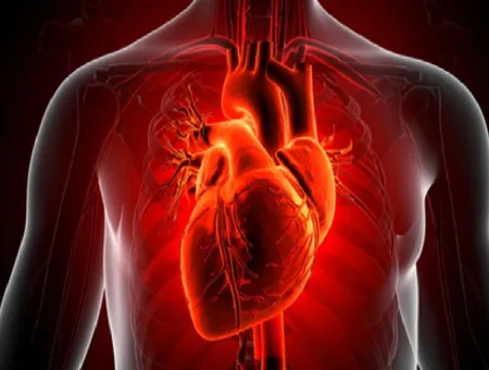 व्यायाम से पूरी नींद तक, इन 6 आसान आदतों से रखें हृदय को सुरक्षित और मजबूत 