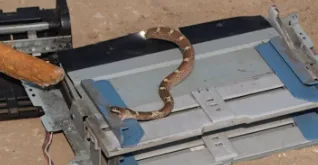 मुजफ्फरनगरः खतौली के स्कूल में प्रिंटर के भीतर निकला सांप, कार्यालय में मचा हड़कंप, कर्मचारियों ने सुरक्षित बाहर निकाला