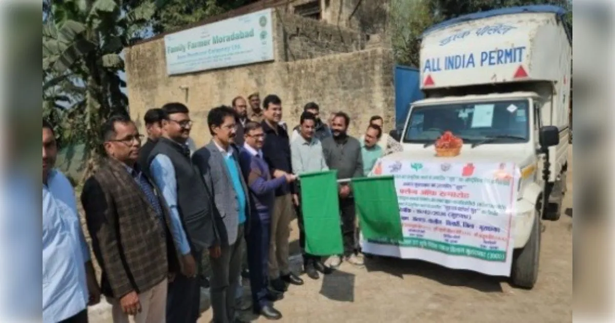 मुरादाबाद: बिलारी के प्राकृतिक गुड़ की महक अब ऑस्ट्रेलिया में, 1650 किलो की पहली खेप सात समंदर पार रवाना