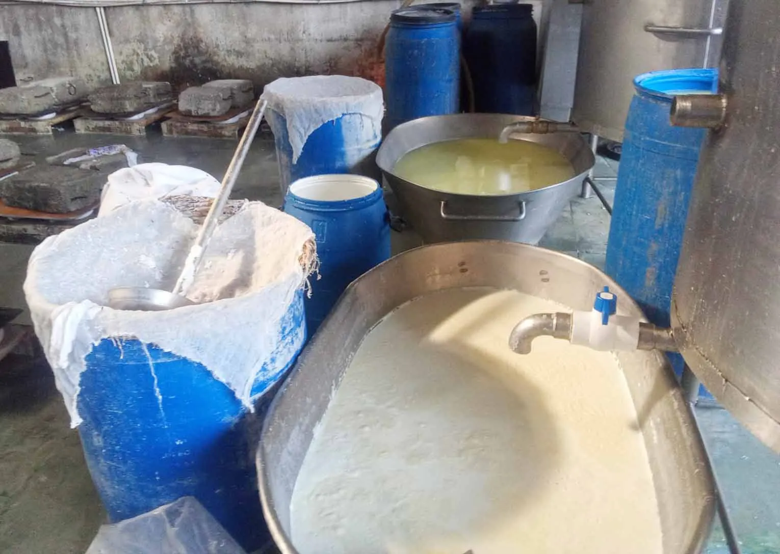 शामली में अवैध पनीर फैक्ट्री का भंडाफोड़, नकली दूध और केमिकल बरामद