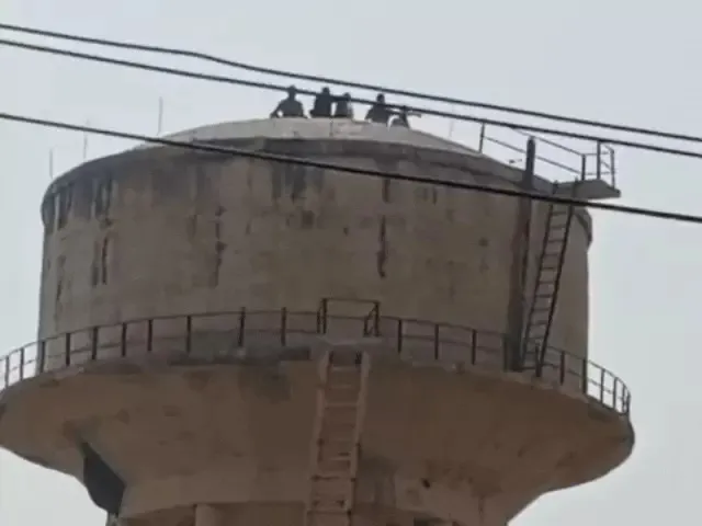 अजब-गजब: पानी की टंकी पर प्रदर्शन करने चढ़े थे ग्रामीण, मधुमक्खियों ने बोला हमला; मची भगदड़