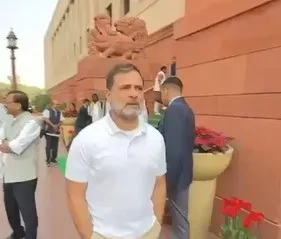 राहुल गांधी ने पूर्व सैनिकों के ईसीएचएस के लिए बजट बढ़ाने और विकलांग पेंशन कर हटाने को लेकर वित्तमंत्री को लिखा पत्र