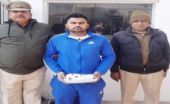 मेरठ पुलिस ने 455 ग्राम गांजा के साथ नशेड़ी को गिरफ्तार किया