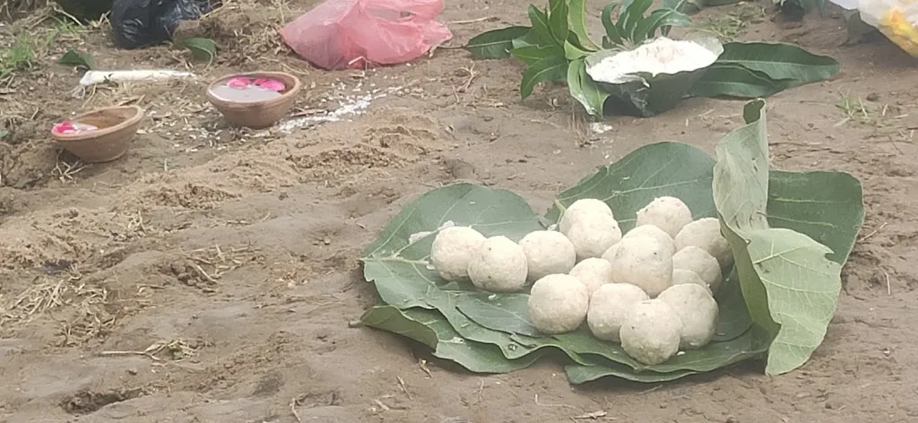 फाल्गुन अमावस्या 2026: पितरों को प्रसन्न करने और पितृ दोष मुक्ति के लिए शुभ उपाय