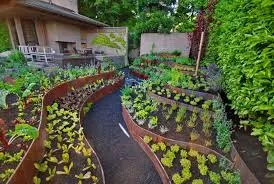 kitchen garden ideas: फरवरी में किचन गार्डन शुरू करें, घर पर उगाएं ताजी सब्जियां, कम मेहनत में शानदार पैदावार