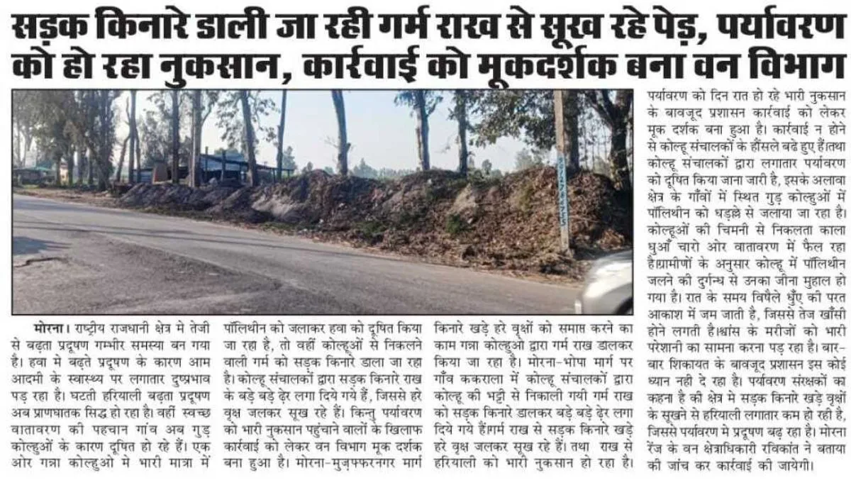 IMG-20260207-WA0017 (1)