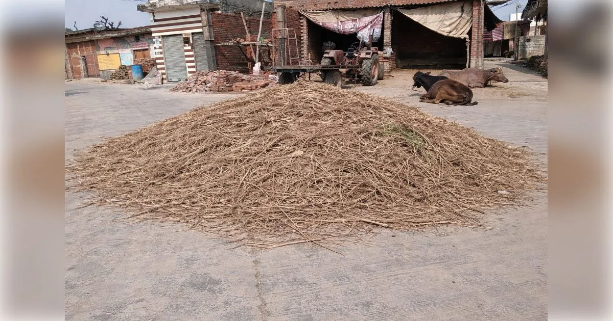 मुजफ्फरनगर में भोपा व ककरौली क्षेत्र के 78 गाँवों में 147 स्थानों पर होगा होलिका दहन, सुरक्षा के कड़े इंतजाम