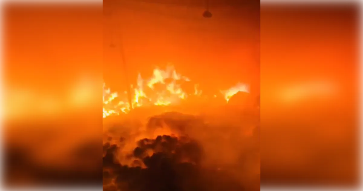 अमरोहा के रिहायशी इलाके में तांडव: कॉटन वेस्ट कारखाने में लगी भीषण आग, धू-धू कर जला लाखों का माल