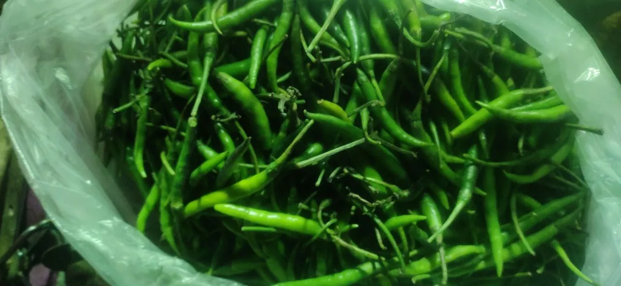 मेरठ व पश्चिम यूपी में हरी मिर्च के दाम में रिकार्ड वृद्धि, मंडियों में आवक कम