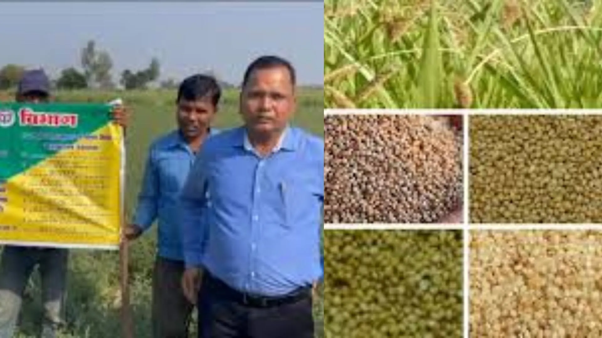 मेरठ में एलईडी वैन से मिलेट्स पुनर्धार कार्यक्रम, पोषक अनाज के लाभों को आमजन तक पहुँचाया