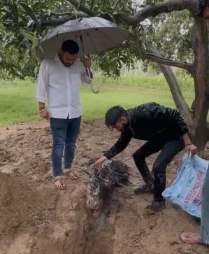 सहारनपुर के पांजरायपुर कला के जंगल में मिले गौवंश के अवशेष, एसपी ग्रामीण ने किया मौका मुआयना, खुलासे को तीन टीमें गठित