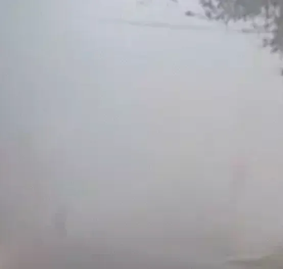 यूपी में धुंध का कहर: 18 साल बाद मार्च में घनी धुंध, 2 दिन में मौसम और बिगड़ सकता है