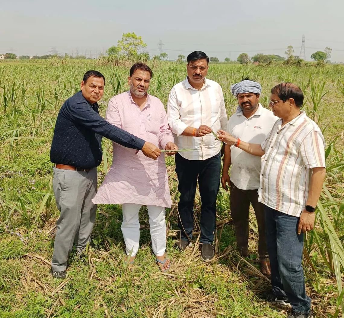 शामली: गन्ना फसल में टाप बोरर कीट नियंत्रण को लेकर किसानों को जागरूक किया गया