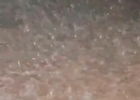 मुजफ्फरनगर: बेमौसम बारिश और ओलावृष्टि ने तोड़ी किसानों की कमर, सरसों और गेहूं की फसलें तबाह