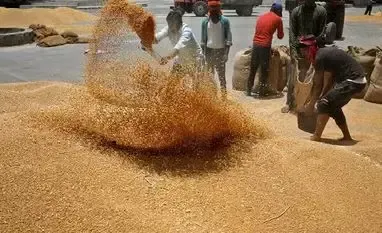 मध्य प्रदेश में गेहूं खरीदी को लेकर बड़ा अपडेट जल्द घोषित होगी तारीख किसानों को मिलेगा फायदा