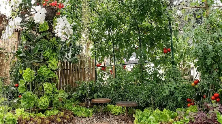 मार्च अप्रैल की तेज गर्मी में भी सूखेंगे नहीं आपके पौधे अगर किचन गार्डन की मिट्टी में मिला दें ये 7 खास चीजें पूरा बगीचा रहेगा हमेशा हरा भरा और सब्जियों से भरपूर