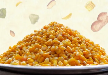 स्वीट कॉर्न स्वाद के साथ सेहत का भी खजाना, आहार में शामिल करने के मिलेंगे ये फायदे 