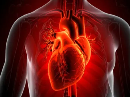 कोलेस्ट्रॉल बीमारी नहीं, खराब जीवन शैली का संकेत; जानें क्या कहता है आयुर्वेद 