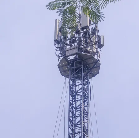 बिहार के गोपालगंज में प्रेमी की रिहाई की मांग को लेकर युवती मोबाइल टावर पर चढ़ी