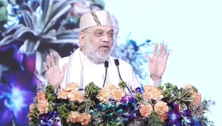 घुसपैठियों पर सख्त अमित शाह, कहा, 