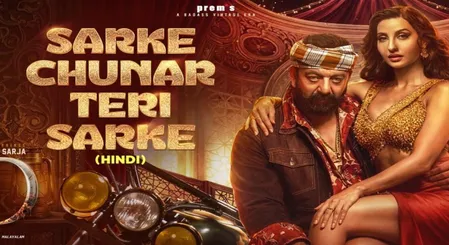 गंदे इशारे, महिलाओं का अपमान और फूहड़ता... 'मैनिएक' से 'चुनर सरके' तक, जब गानों में पार हुईं अश्लीलता की हदें