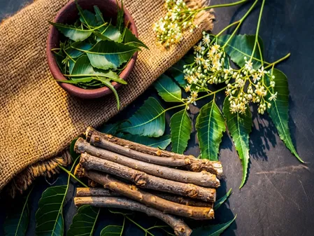 वर्ल्ड ओरल हेल्थ डे : ब्रश से सौ गुना बेहतर दातुन, नीम से जामुन तक, मौसम के अनुसार करें इस्तेमाल 