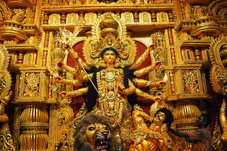 इन नौ आयुर्वेदिक औषधियों के पौधों में बसती हैं नवदुर्गा, सेहत के लिए है वरदान