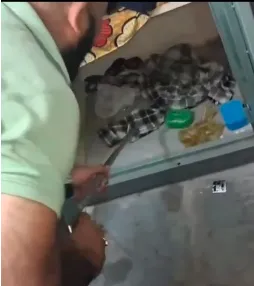 मेरठ: चौधरी चरण सिंह विश्वविद्यालय के हॉस्टल में निकला सांप, छात्रों में मचा हड़कंप