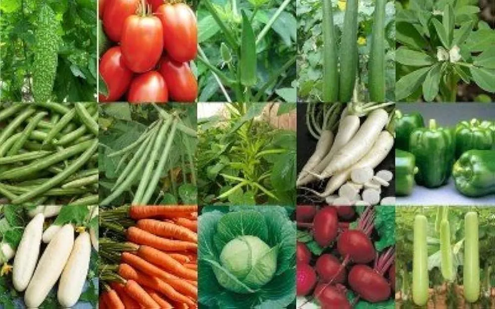 गर्मियों में घर पर उगाएं ये सब्जियां करेला लौकी तोरी और भिंडी सही तरीके से लगाएं और पाएं भरपूर पैदावार