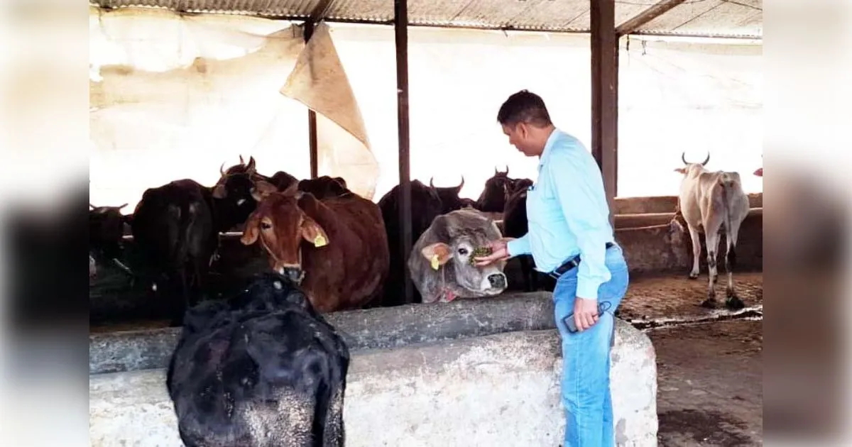 मुजफ्फरनगर: मुख्य पशु चिकित्सा अधिकारी ने गौ आश्रय स्थल का किया निरीक्षण 