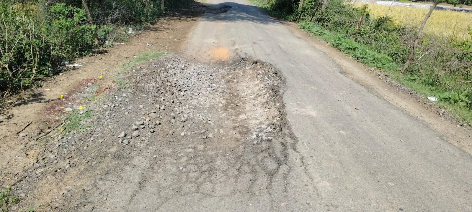 6 महीने में उखड़ी सड़क: ग्रामीणों ने लगाया भ्रष्टाचार का आरोप, PWD के खिलाफ प्रदर्शन